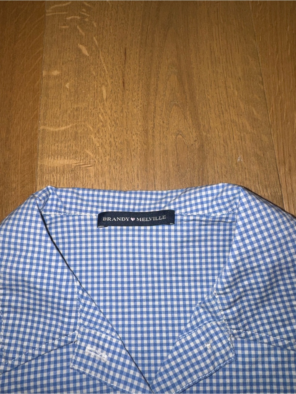 Brandy Melville Blue Gingham Button-Up Shirt - Picture 2 of 3